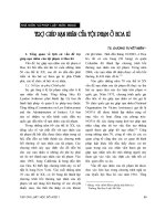 Tài liệu Báo cáo 