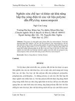 Nghiên cứu chế tạo và khảo sát khả năng hấp thụ sóng điện từ của vật liệu polyme dẫn PPy clay nanocompozit