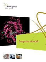 Tài liệu Enzymes at work potx