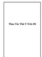 Tài liệu Thao Tác Thú Y Trên Dê doc