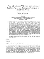 Pháp luật hải quan việt nam trước yêu cầu thực hiện tự do hóa thương mại và nghĩa vụ thành viên WTO