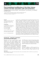 Tài liệu Báo cáo khoa học: Post-translational modiﬁcations of the linker histone variants and their association with cell mechanisms docx