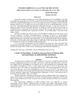 Tài liệu BÁO CÁO 