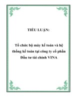 Tổ chức bộ máy kế toán và hệ thống kế toán tại công ty cổ phần Đầu tư tài chính VINA