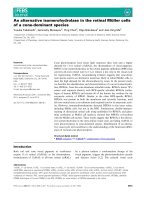 Tài liệu Báo cáo khoa học: An alternative isomerohydrolase in the retinal Muller cells of a cone-dominant species doc