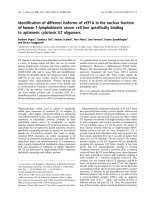 Tài liệu Báo cáo khoa học: Identiﬁcation of different isoforms of eEF1A in the nuclear fraction of human T-lymphoblastic cancer cell line speciﬁcally binding to aptameric cytotoxic GT oligomers ppt