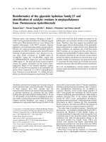 Tài liệu Báo cáo khoa học: Bioinformatics of the glycoside hydrolase family 57 and identiﬁcation of catalytic residues in amylopullulanase from Thermococcus hydrothermalis doc