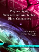 Tài liệu POLYMER AGING, STABILIZERS AND AMPHIPHILIC BLOCK COPOLYMERS ppt
