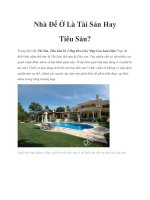 Tài liệu Nhà Để Ở Là Tài Sản Hay Tiêu Sản? pot