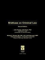 Tài liệu Briefcase on Criminal Law Second Edition doc