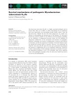 Tài liệu Báo cáo khoa học: Survival mechanisms of pathogenic Mycobacterium tuberculosis H37Rv ppt