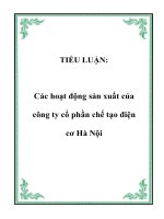 Tài liệu TIỂU LUẬN: Các hoạt động sản xuất của công ty cổ phần chế tạo điện cơ Hà Nội pdf