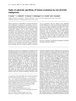 Tài liệu Báo cáo Y học: Study of substrate speciﬁcity of human aromatase by site directed mutagenesis pdf