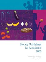 Tài liệu Dietary Guidelines for Americans 2005 pptx