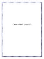 Tài liệu Ca dao truyền miệng chủ đề cổ tục doc