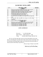 một số giải pháp quản lý kinh tế nhằm mở rộng thị trường tíêu thụ sản phẩm tại công ty cổ phần dụng cụ số 1