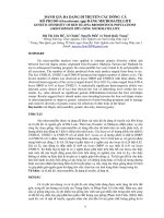 Tài liệu BÁO CÁO 