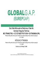 Tài liệu Gab Cá tra - cá basa pdf