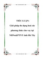 Giải pháp đa dạng hoá các phương thức cho vay tại NHNo&PTNT tỉnh Hà Tây