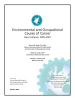 Tài liệu Environmental and Occupational Causes of Cancer doc