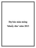 Tài liệu Dự báo màu móng ''''khuấy đảo'''' năm 2013 doc