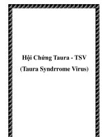 Tài liệu Hội Chứng Taura - TSV (Taura Syndrrome Virus) ppt