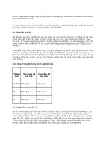 Bé tròn 12 tháng tuổi đến 23 tháng 29 ngày được gọi chung là bé 1 tuổi