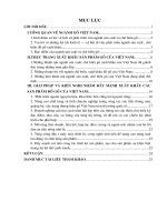 giải pháp và kiến nghị nhằm đẩy mạnh xuất khẩu các sản phẩm đồ gỗ của việt nam