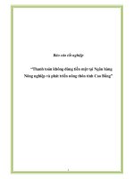 Thanh toán không dùng tiền mặt tại Ngân hàng Nông nghiệp và phát triển nông thôn tỉnh Cao Bằng