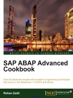 Tài liệu SAP ABAP Advanced Cookbook ppt