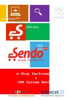 Internet Marketing strategy of Sendo.vn