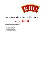 Tài liệu Tiểu luận:XÂY DỰNG THƯƠNG HIỆU RƯỢU RHO docx