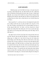 hoàn thiện các giải pháp marketing tại công ty cổ phần xây lắp viễn thông hoàng gia