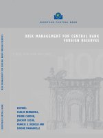 Tài liệu RISK MANAGEMENT FOR CENTRAL BANK FOREIGN RESERVES pdf