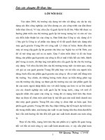 hoàn thiện mạng lưới tiêu thụ sản phẩm gạch granite trung đô của công ty cổ phần xây dựng số 6