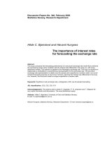 Tài liệu The importance of interest rates for forecasting the exchange rate doc