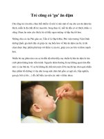 Tài liệu Trẻ cũng có ''''gu'''' ăn dặm pot