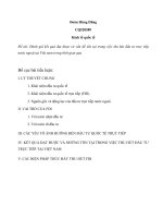 Đánh giá thành tựu đạt được và vấn đề tồn tại trong việc thu hút đầu tư trực tiếp nước ngoài tại Việt nam trong thời gian qua