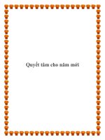 Tài liệu Quyết tâm cho năm mới. docx