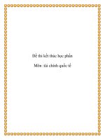 Tài liệu Đề thi kết thúc học phần Môn :tài chính quốc tế pot