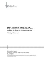 Tài liệu Banks’ exposure to interest rate risk, their earnings from term transformation, and the dynamics of the term structure pptx