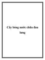 Tài liệu Cây bóng nước chữa đau lưng ppt