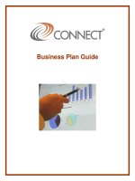 Business Plan Guide A practical guide for technology companies