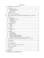 hân tích chiến lược phân đoạn thị trường của s-fone