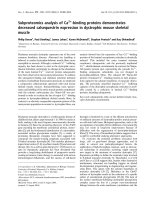 Tài liệu Báo cáo khoa học: Subproteomics analysis of Ca2+-binding proteins demonstrates decreased calsequestrin expression in dystrophic mouse skeletal muscle pdf