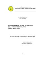 so sánh khả năng tái sinh và năng suất của 9 giốngdòng cao lương trồng trong chậu
