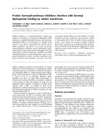 Tài liệu Báo cáo khoa học: Protein farnesyltransferase inhibitors interfere with farnesyl diphosphate binding by rubber transferase pdf