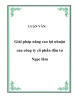 Giải pháp nâng cao lợi nhuận của công ty cổ phần đầu tư Ngọc lâm