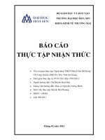 báo cáo thực tập nhận thức ngân hàng tmcp phát triển mê kông – chi nhánh long xuyên, phòng giao dịch tri tôn, tỉnh an giang