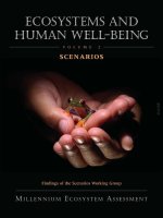 Tài liệu Ecosystems and Human Well-being: Scenarios, Volume 2 doc